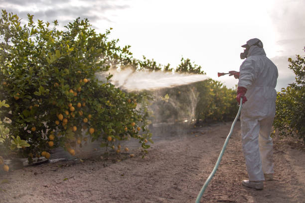 Best Residential Pest Control  in Whitney Point, NY