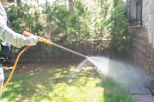 Best Pest Removal Services  in Whitney Point, NY