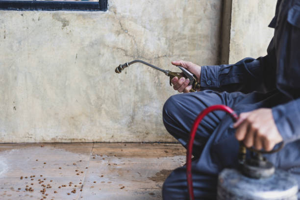 Best Local Pest Control Services  in Whitney Point, NY