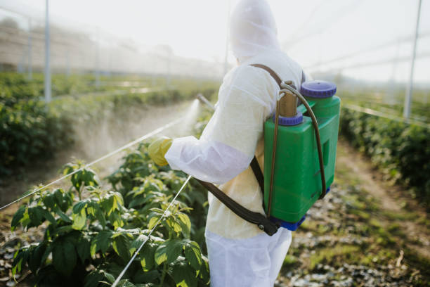 Best Pest Control Treatment  in Whitney Point, NY